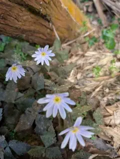 ぶち様 リクエスト 2点 まとめ商品