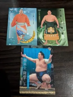 錦富士　大相撲カード3枚セット