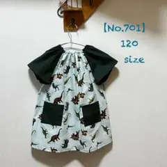 Item thumbnail for item 52497863-80a3-4379-9ed3-4e35f3a1c8a8