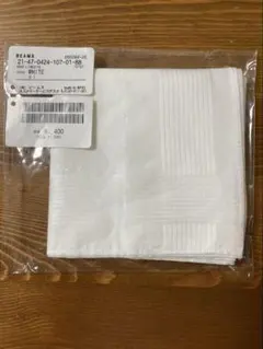 Item thumbnail for item e0663ae6-f6f1-475a-b883-b28e0ba15419