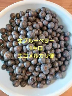 生ブルーベリー　1キロのサムネイル