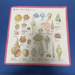 貝のいろいろ 図鑑ハンカチ 昭和レトロ - メルカリ