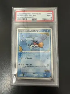 2026年最新】ミズゴロウ psa10の人気アイテム - メルカリ