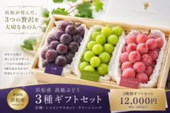 ニコさん専用 山梨県甲州市産シャインマスカット詰め合わせ4.5キロ