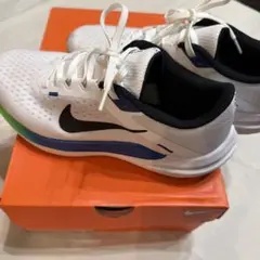 NIKE Winflo 10 ランニングシューズ ホワイト
