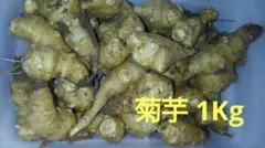 菊芋　約1Kg強（梱包込み）
