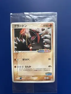 未開封】ポケパーク グラードンプロモカード042/PCG-P - メルカリ