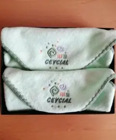 薄緑色の刺繍入りタオルハンカチ2枚セット