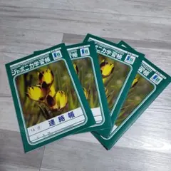 Item thumbnail for item 0398efdd-da93-4ad8-9c0a-e95a4665dcfc