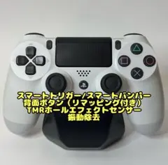 カスタムコントローラー