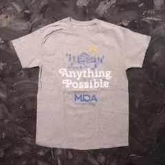 Tシャツ　Anything is Possible 企業　家　太陽