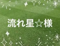 流れ星☆様