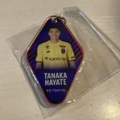 FC東京　田中颯　実写アクリルキーホルダー　ガチャ