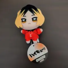 s*読様 ハイキュー!!　ぬいぷりけmini3 孤爪研磨