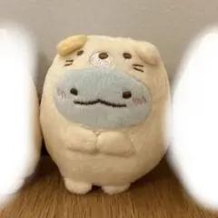 すみっコぐらし 受注 ねこの日 てのりぬいぐるみ とかげ