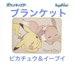 ポケットモンスター ブランケット 피카츄 ＆イーブイ