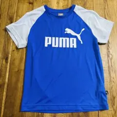 PUMA プーマ 半袖Tシャツ キッズ 140cm ブルー ラグランのサムネイル