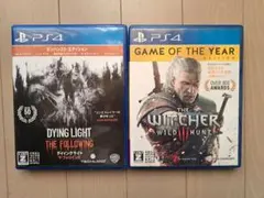Dying Light: The Follow & The Witcher 3