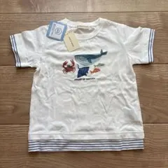 センスオブワンダー 海の生き物 Tシャツ 100cmのサムネイル