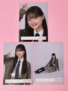 Item thumbnail for item e3fea841-573a-414d-97d6-33b790e04d08