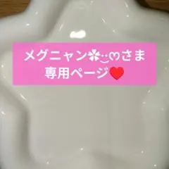 メグニャン✿·͜·ᰔ様専用ページ