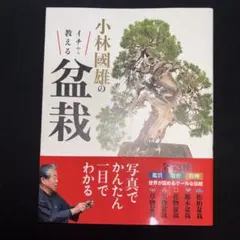 鬼才 関野正「盆栽は情念だ」盆栽世界特別号 赤松 黒松 ミニ盆栽