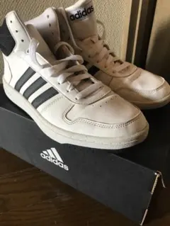 Item thumbnail for item 8f01bc1f-ed9e-44e5-b74a-45f3b9f6ad29