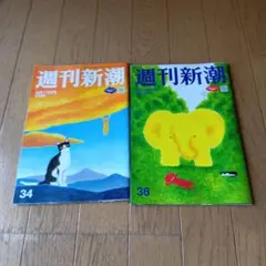 週刊新潮★2025年★ 34号 36号 ★2冊★
