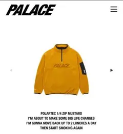 PALACE POLARTEC 1/4 ZIP マスタード POLARTEC 1/4 ZIP JACKET | PALACE SKATEBOARDS