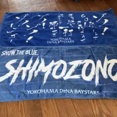 横浜DeNAベイスターズ　下園 辰哉サイン入りユニフォーム　送料込み　匿名配送 2025年最新】Yahoo!オークション -下園 ユニフォームの中古品