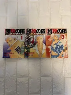疾風伝説特攻(ぶっこみ)の拓外伝～Early Day's 〜1-3巻セット