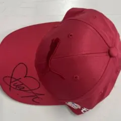 2025年最新】アースモンダミンカップの人気アイテム - メルカリ