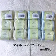 Item thumbnail for item 8795e2e1-98b1-4560-945c-1f7502ef0c3c