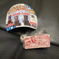 ランフォーヴァウ デイリー杯2歳S アイドルホースミニコレクション41 坂井瑠星