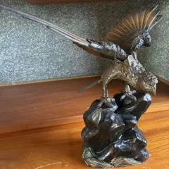 極楽鳥 剥製 - メルカリ