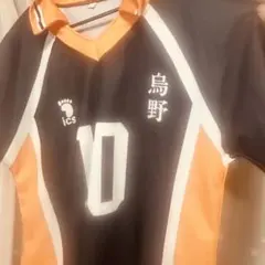 ハイキュー!! 烏野高校 ユニフォーム 10番 日向翔陽のサムネイル