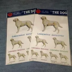 わんちゃん様 リクエスト 2点 まとめ商品