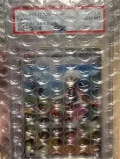 ヒカリ SAR PSA10