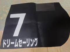 ドリームセーリング 使用済ゼッケン