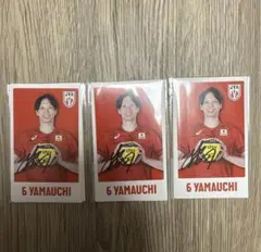 男子バレー モバガチャ 山内選手