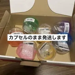 なにわ男子 めじるしチャーム ドームグッズ 全員 コンプリート 7個