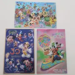 ディズニー ポストカード 東京ディズニーランド30周年