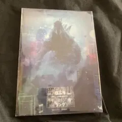 新品　未開封　ゴジラ　コング クリアファイル　GODZILLA vs KONG