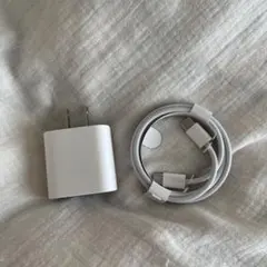 typeC-typeC 充電ケーブル　Apple純正品