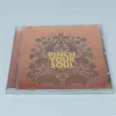 CD PINCH YOUR SOUL CLAZZIQUAI PROJECT