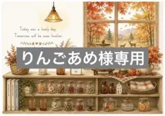 シーグラスアート＃173りんごあめ様専用 - メルカリ