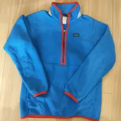 patagonia synchilla パタゴニア フリース 160　レア