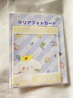 JOCHUM RURU 未開封 クリアフォトカード