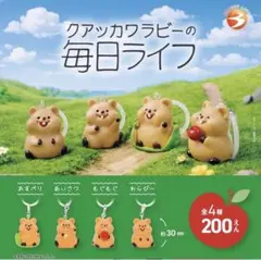 クアッカワラビーの毎日ライフ 全4種 コンプリートセット