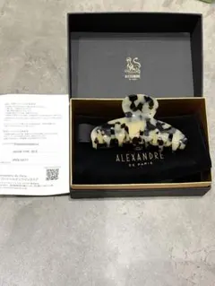 ALEXANDRE DE PARIS Mクリップ